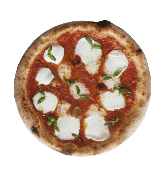 Buffalo - Fresh buffalo pizza